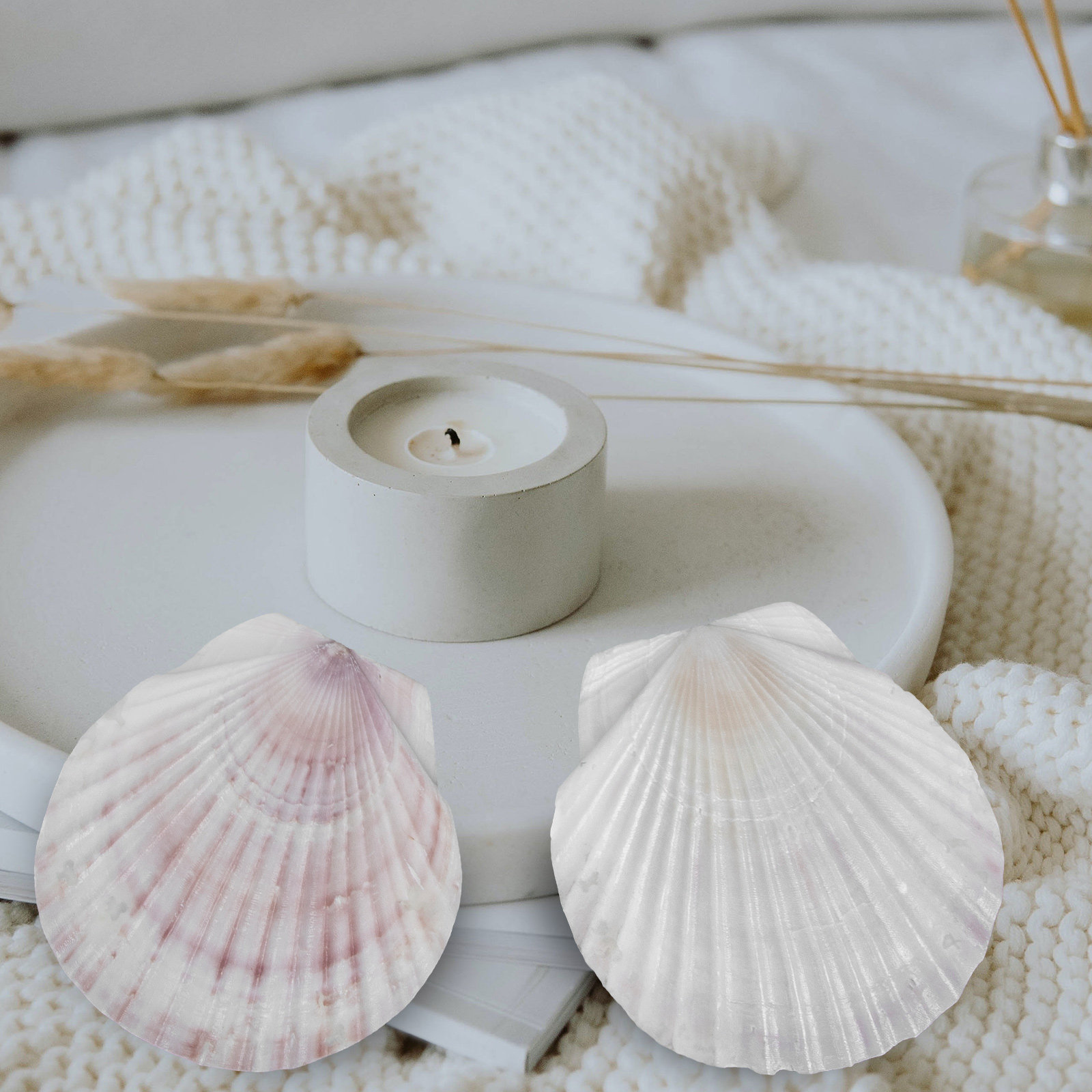 Mom'S Home Cooking - 10Pcs Natural Scallop Shells Food Serving