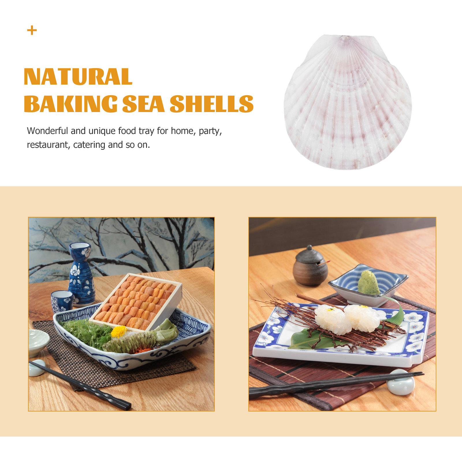 10Pcs Natural Scallop Shells F - Mom'S Home Cooking recension och pris