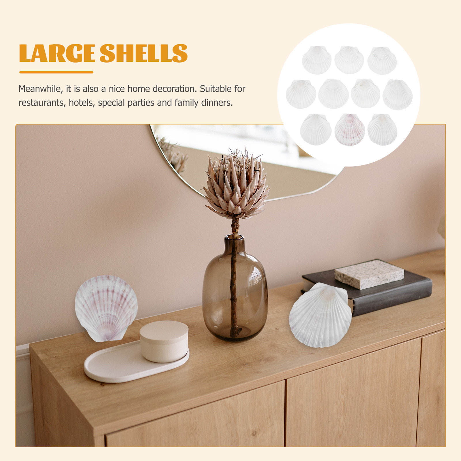 10Pcs Natural Scallop Shells F - Mom'S Home Cooking recension och pris